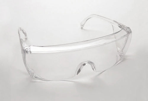 ProVision Eyesavers Goggles Clear Frame Clear Lens Protection