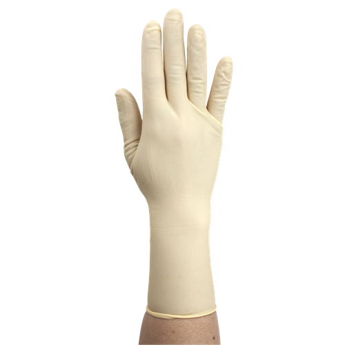 Glove Surgical Latex Sterile P.F. Size 6 4-Box/Case