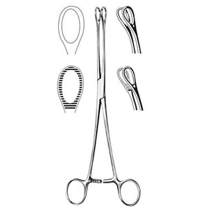 Foerster Sponge Forcep- 7  Serrated - QG Med